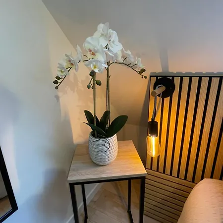 Apartman Proche Zenith & Polyclinique